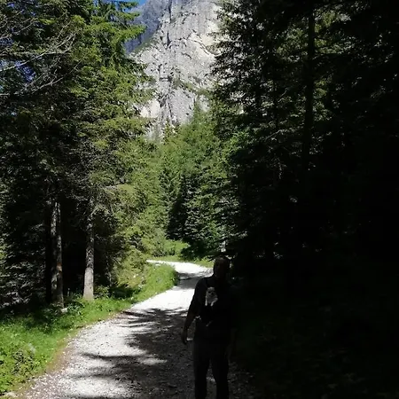 Cordevole *